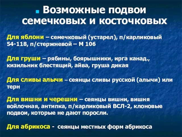 Возможные подвои семечковых и косточковых Для яблони – семечковый (устарел),