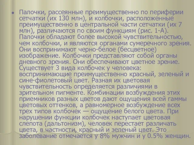 Палочки, рассеянные преимущественно по периферии сетчатки (их 130 млн), и