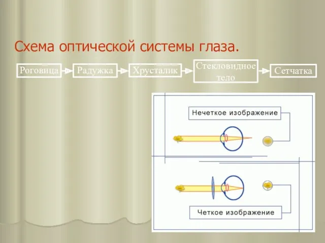 Схема оптической системы глаза.