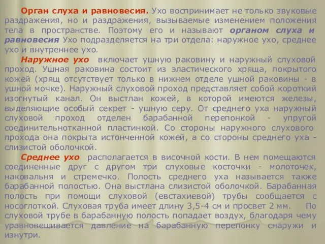 Орган слуха и равновесия. Ухо воспринимает не только звуковые раздражения,