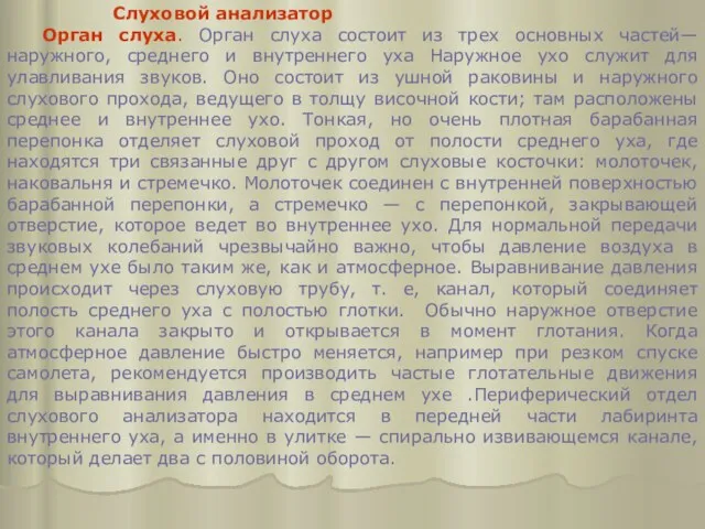 Слуховой анализатор Орган слуха. Орган слуха состоит из трех основных