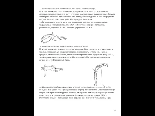 13. Растягивание мышц-разгибателей шеи, спины, частично бедра. Исходное положение: сидя