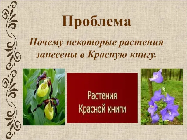 Проблема Почему некоторые растения занесены в Красную книгу.