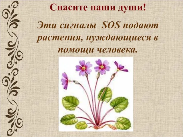 Спасите наши души! Эти сигналы SOS подают растения, нуждающиеся в помощи человека.