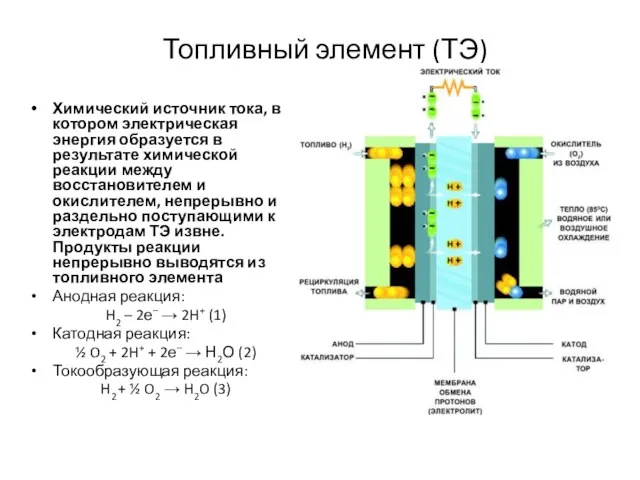 Топливный элемент (ТЭ) Химический источник тока, в котором электрическая энергия