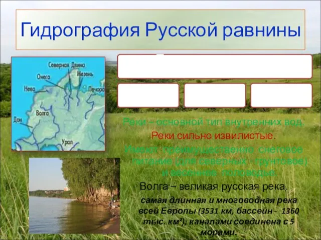 Гидрография Русской равнины Реки – основной тип внутренних вод. Реки сильно извилистые. Имеют
