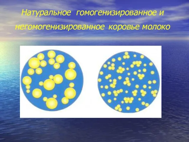 Натуральное гомогенизированное и негомогенизированное коровье молоко