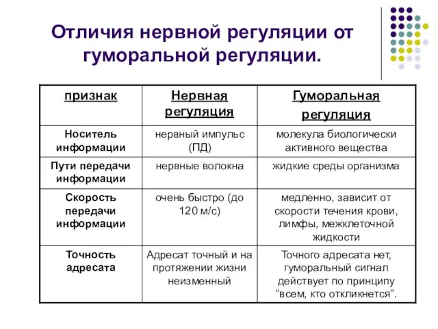 Отличия нервной регуляции от гуморальной регуляции.