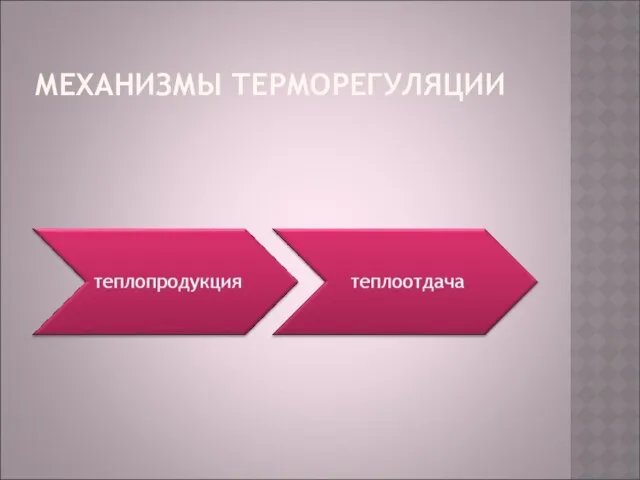 МЕХАНИЗМЫ ТЕРМОРЕГУЛЯЦИИ