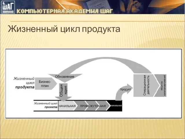 Жизненный цикл продукта