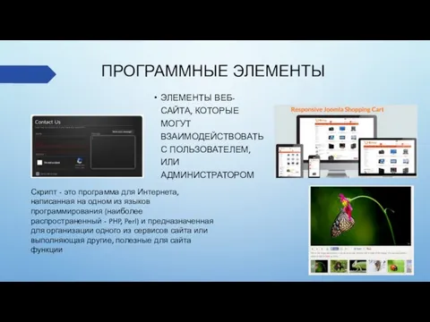 ПРОГРАММНЫЕ ЭЛЕМЕНТЫ ЭЛЕМЕНТЫ ВЕБ-САЙТА, КОТОРЫЕ МОГУТ ВЗАИМОДЕЙСТВОВАТЬ С ПОЛЬЗОВАТЕЛЕМ, ИЛИ