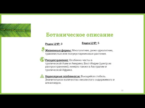 Ботаническое описание Видов ЦЧР: 5 Родов ЦЧР: 3 Жизненные формы: