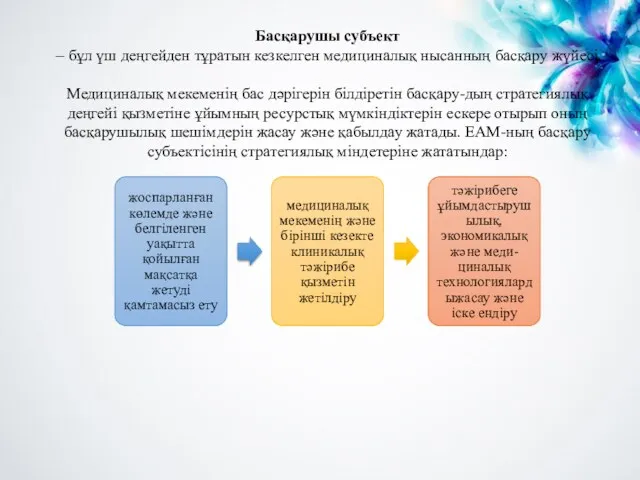 Басқарушы субъект – бұл үш деңгейден тұратын кезкелген медициналық нысанның