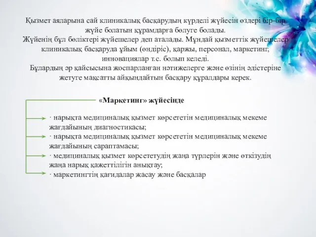 Қызмет аяларына сай клиникалық басқарудың күрделі жүйесін өздері бір-бір жүйе