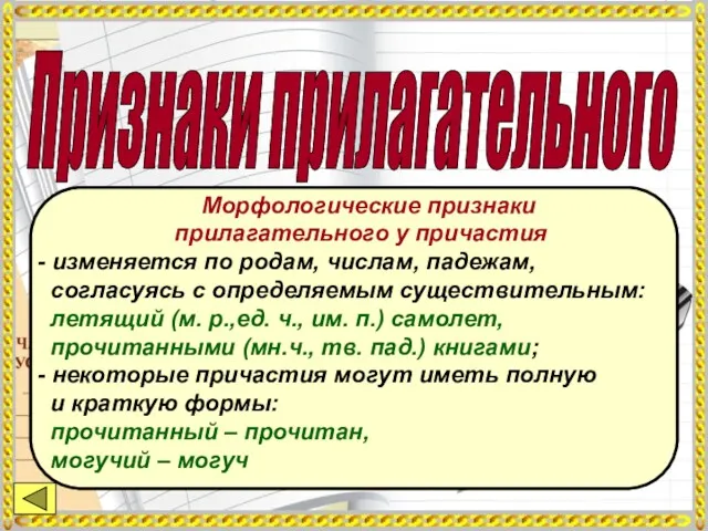 Морфологические признаки прилагательного у причастия - изменяется по родам, числам,