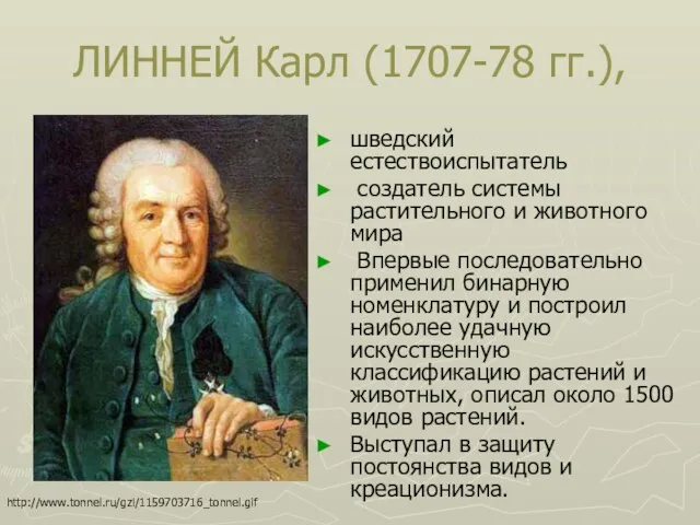 ЛИННЕЙ Карл (1707-78 гг.), шведский естествоиспытатель создатель системы растительного и