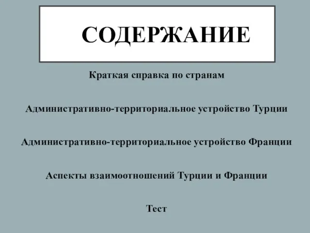 СОДЕРЖАНИЕ Краткая справка по странам Административно-территориальное устройство Турции Административно-территориальное устройство