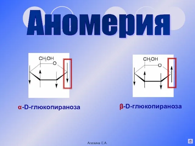 β-D-глюкопираноза α-D-глюкопираноза Аномерия Алехина Е.А. β α