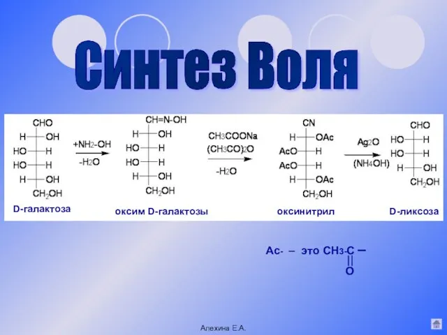 Синтез Воля D-галактоза оксим D-галактозы оксинитрил D-ликсоза Ас- – это СН3-С – О Алехина Е.А.