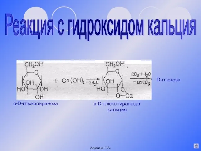 Реакция с гидроксидом кальция α-D-глюкопиранозат кальция α-D-глюкопираноза D-глюкоза Алехина Е.А.