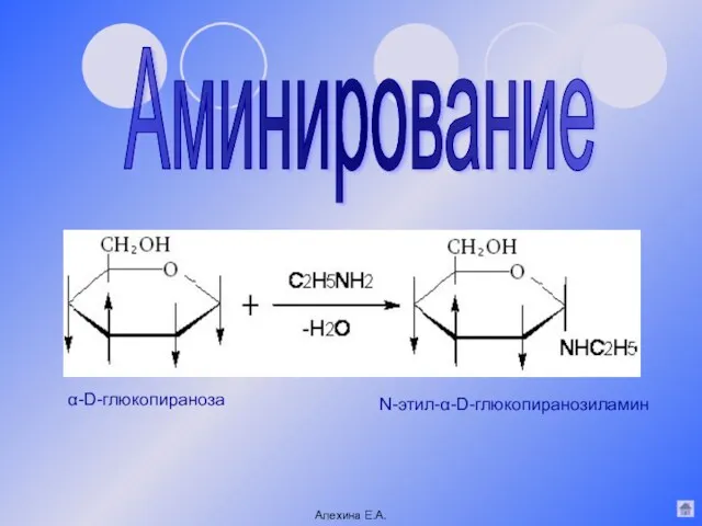 Аминирование N-этил-α-D-глюкопиранозиламин α-D-глюкопираноза Алехина Е.А.