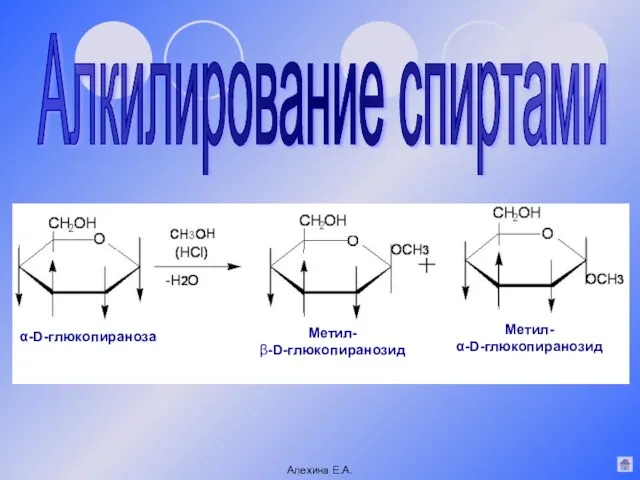 Алкилирование спиртами α-D-глюкопираноза Метил- β-D-глюкопиранозид Метил- α-D-глюкопиранозид Алехина Е.А.