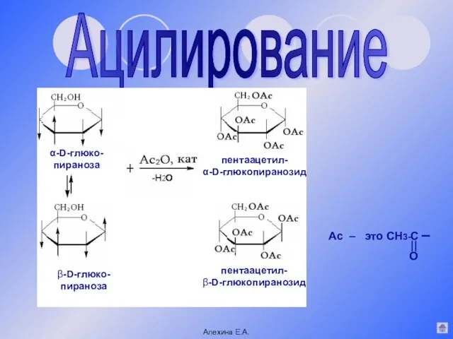Ацилирование α-D-глюко- пираноза β-D-глюко- пираноза пентаацетил- α-D-глюкопиранозид пентаацетил- β-D-глюкопиранозид Ас