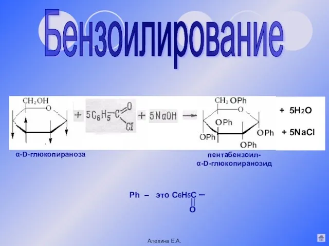 Бензоилирование α-D-глюкопираноза пентабензоил- α-D-глюкопиранозид Ph – это С6Н5С – О Алехина Е.А. + 5Н2О + 5NaCl