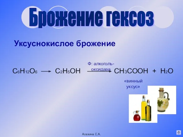 Брожение гексоз Уксуснокислое брожение C6H12O6 C2H5OН СН3СООН + Н2О Ф: алкоголь-оксидаза «винный уксус» Алехина Е.А.