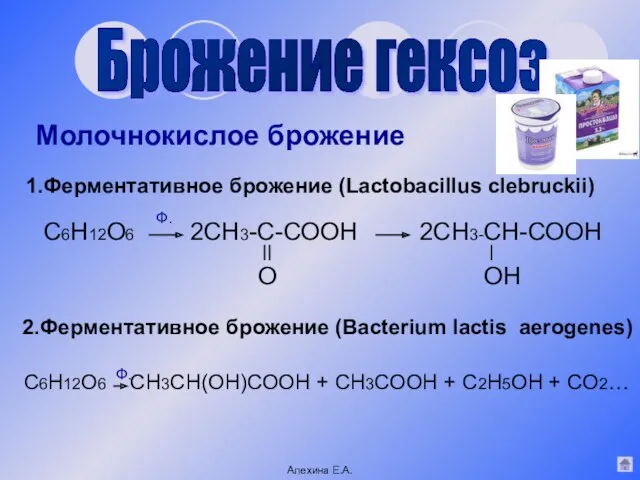 Брожение гексоз Молочнокислое брожение Ферментативное брожение (Lactobacillus clebruckii) 2.Ферментативное брожение