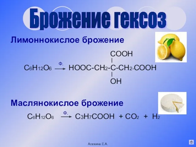 Брожение гексоз Лимоннокислое брожение Маслянокислое брожение C6H12O6 С3Н7СООН + CO2