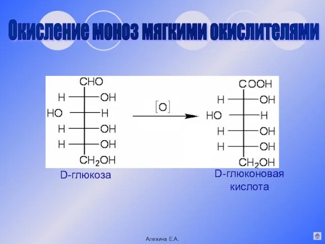 Окисление моноз мягкими окислителями D-глюконовая кислота D-глюкоза Алехина Е.А.