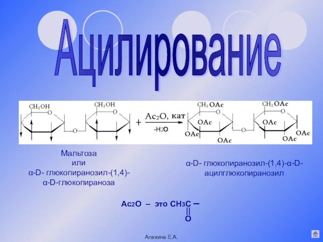 Ацилирование Мальтоза или α-D- глюкопиранозил-(1,4)- α-D-глюкопираноза α-D- глюкопиранозил-(1,4)-α-D- ацилглюкопиранозил Ас2О