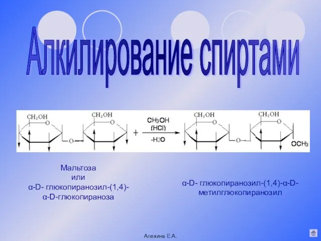 Алкилирование спиртами α-D- глюкопиранозил-(1,4)-α-D- метилглюкопиранозил Мальтоза или α-D- глюкопиранозил-(1,4)- α-D-глюкопираноза Алехина Е.А.