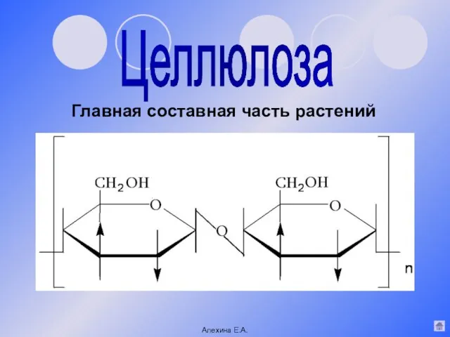 Главная составная часть растений Целлюлоза Алехина Е.А.