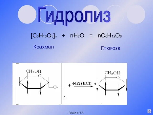 [C6H10O5]n + nH2O = nC6H12O6 Гидролиз Крахмал Глюкоза n n Алехина Е.А.