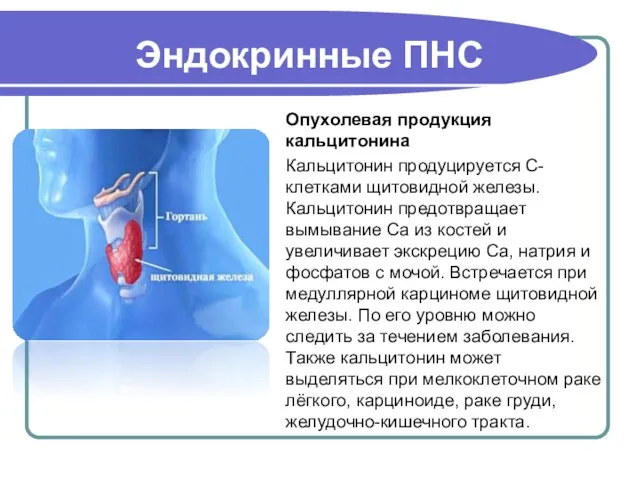 Опухолевая продукция кальцитонина Кальцитонин продуцируется С-клетками щитовидной железы. Кальцитонин предотвращает