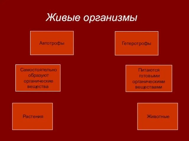 Живые организмы Питаются готовыми органическими веществами Автотрофы Гетеротрофы Самостоятельно образуют органические вещества Растения Животные