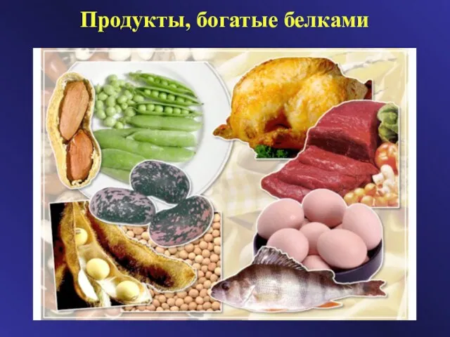 Продукты, богатые белками