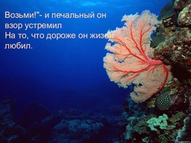 Возьми!"- и печальный он взор устремил На то, что дороже он жизни любил.