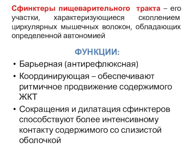 Сфинктеры пищеварительного тракта – его участки, характеризующиеся скоплением циркулярных мышечных