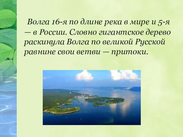 Волга 16-я по длине река в мире и 5-я —