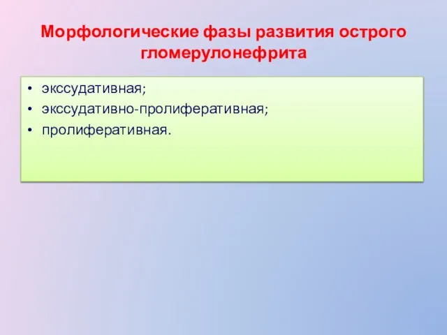 Морфологические фазы развития острого гломерулонефрита экссудативная; экссудативно-пролиферативная; пролиферативная.