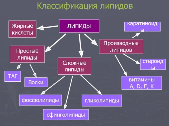 Классификация липидов ЛИПИДЫ Жирные кислоты Простые липиды ТАГ Воски Сложные