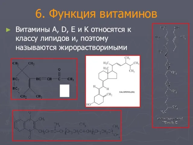 6. Функция витаминов Витамины A, D, E и K относятся