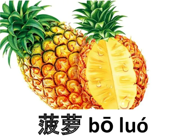 菠萝 bō luó