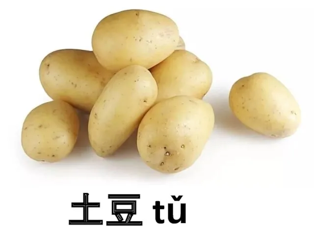 土豆 tǔ dòu