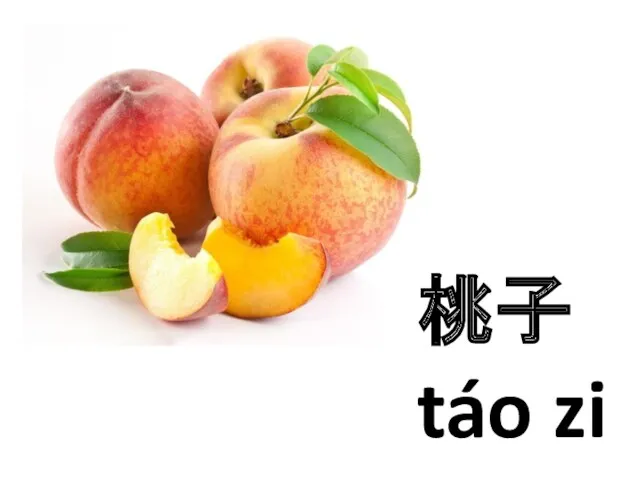 桃子 táo zi