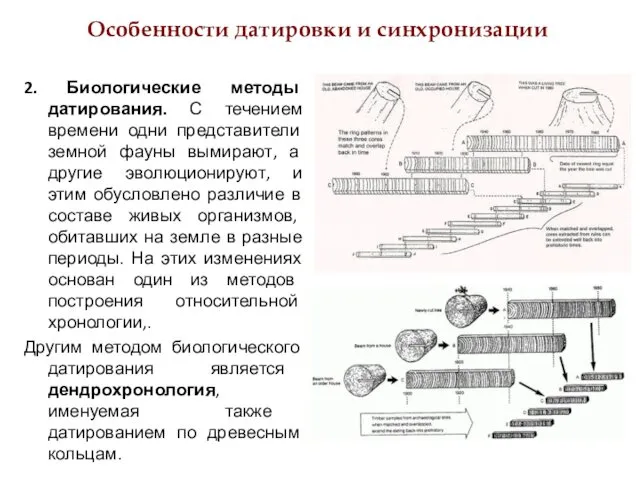 Особенности датировки и синхронизации 2. Биологические методы датирования. С течением