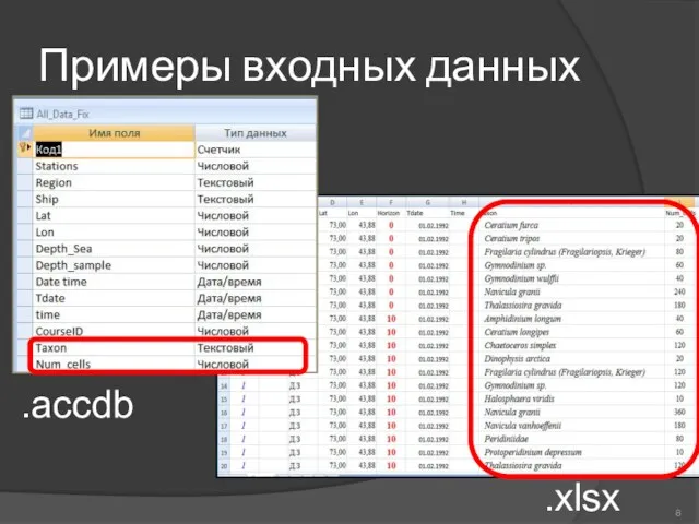 Примеры входных данных .accdb .xlsx